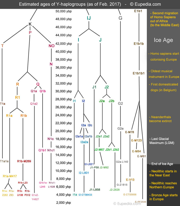 Y-Haplogroups